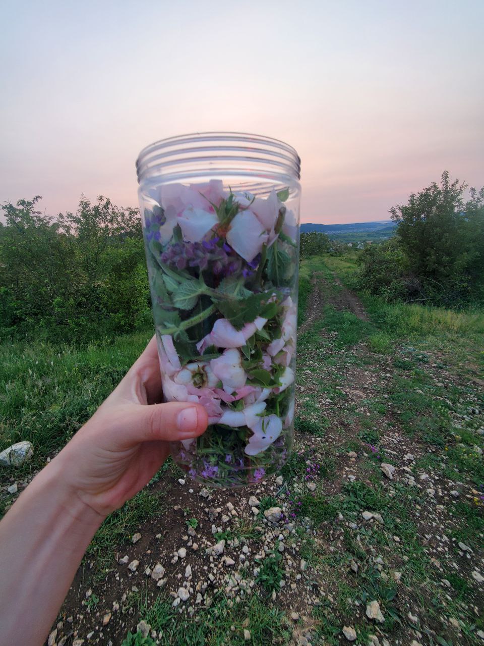 Фото профиля — фото 2